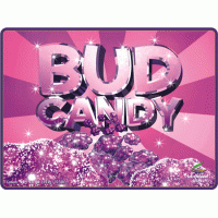 Стимулятор Advanced nutrients Bud Candy