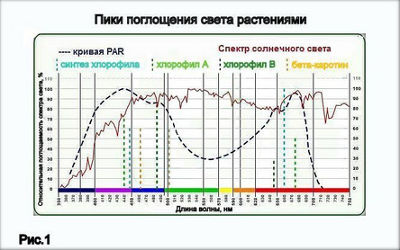 Пики поглощения света растениями