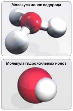 Молекулы