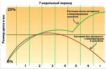 График