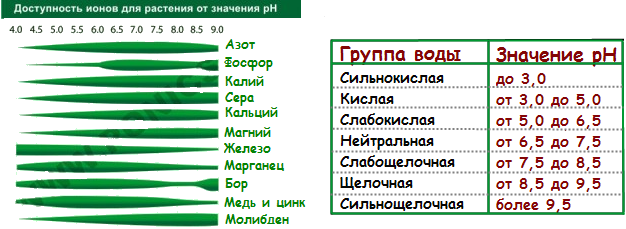 Что такое pH? Полезная информация