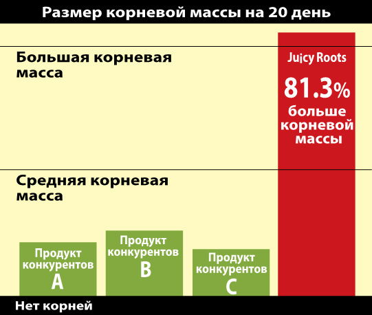 razmer kornevoj massy na 20 den'