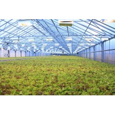 Технология выращивания салата на капилярном мате