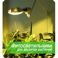 Фитосветильники для рассады