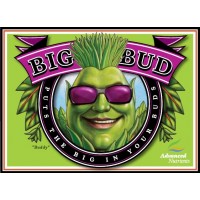 Advanced nutrients Big Bud