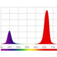 Спектры цветов для рассадных светильников
