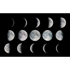 Посадочный лунный календарь на январь 2018