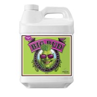 Advanced Nutrients Big Bud Liquid 250 ml