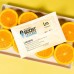 Integra Boost Terpene 62% Limonene 67 г