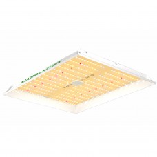 Led Панель Mars Hydro TS1000