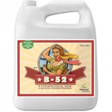 Advanced Nutrients B-52 10L