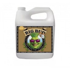 Advanced Nutrients Big Bud Coco Liquid 10L