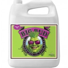 Advanced Nutrients Big Bud Liquid 10L