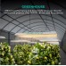 Led Панель Mars Hydro TS3000