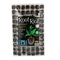 ROOT RIOT 77