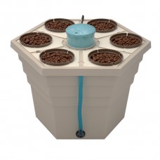 Rainforest 6 12V GHE